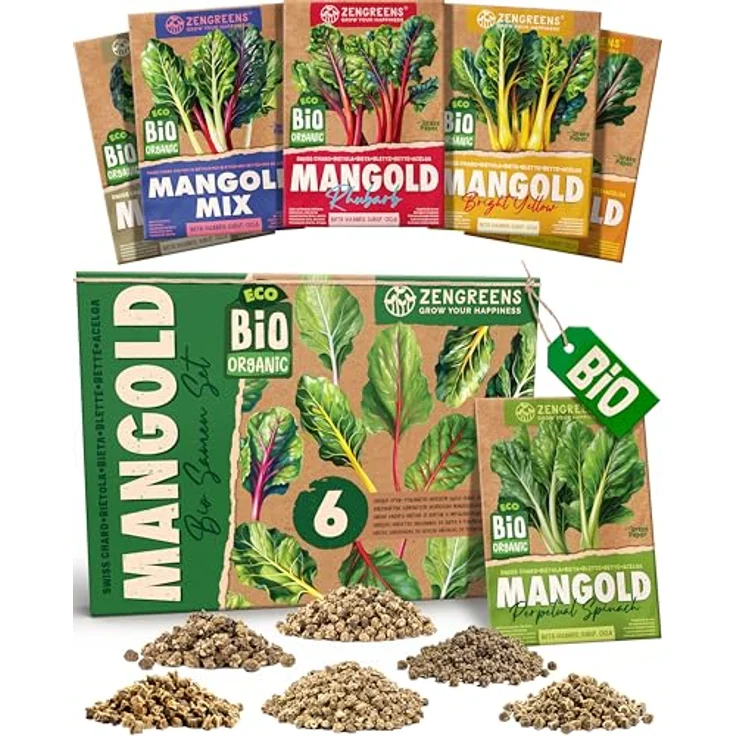 ZenGreens® - Bio Mangoldsamen im 6er Set - 6 Mangold Samen für den einfachen Anbau im Garten, Balkon oder Hochbeet - Pflanzensamen - Saatgut – Bild 2
