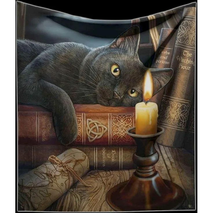 Wohndecke Kuscheldecke Hexen Katze - Witching Hour von Lisa Parker - Fantasy, Figuren Shop GmbH