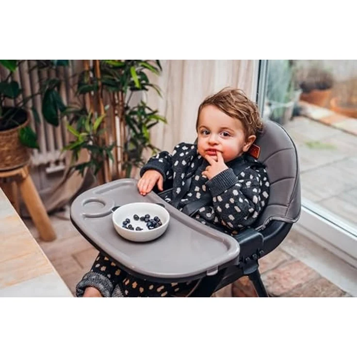 MoMi Kinderstuhl Reki, 2in1 Hochstuhl mit 5-Punkt-Gurt bis 20 kg – Bild 2