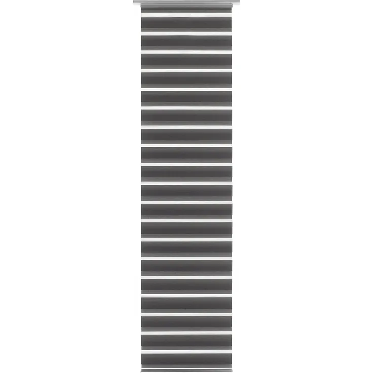 Gardinia Flächenvorhang Day+Night grau, 60x245 cm