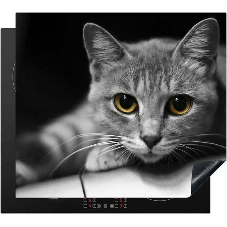 MuchoWow Herd-Abdeckplatte Katze - Tier - Makro, Vinyl, (1 tlg), Cerankochfeld Abdeckung, Herd Abdeckplatten Vinyl, 58.3x51.3 cm
