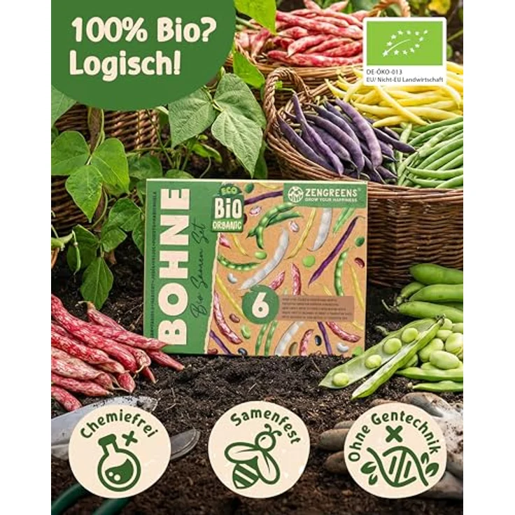 ZenGreens® - Bio Bohnensamen im 6er Set - 6 Bohnen Samen für den einfachen Anbau im Garten, Balkon oder Hochbeet - Pflanzensamen - Saatgut – Bild 2