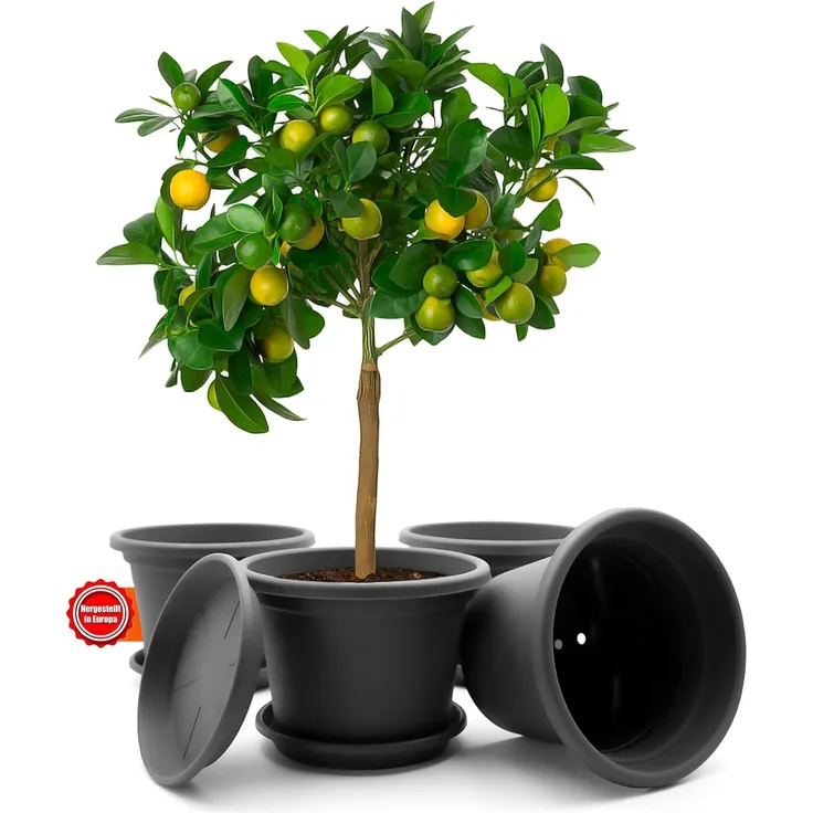 BigDean 4 Stück Blumentopf mit Untersetzer rund ø 35 cm Anthrazit – wetterfester Pflanzkübel Made in Europe
