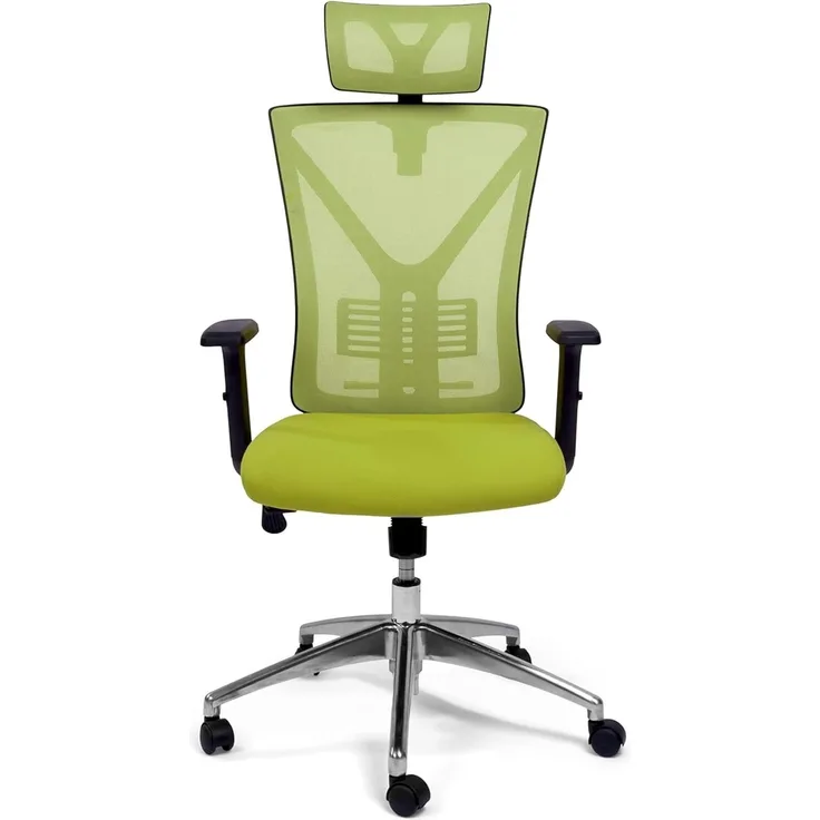 TPFLiving Premium XL Bürostuhl Zeus, ergonomischer Schreibtischstuhl | Inkl. verstellbare Lordosenstütze | Atmungsaktives Mesh-Material | Schwerlast Chefsessel | Belastbar bis 200 kg | Farbe: Grün
