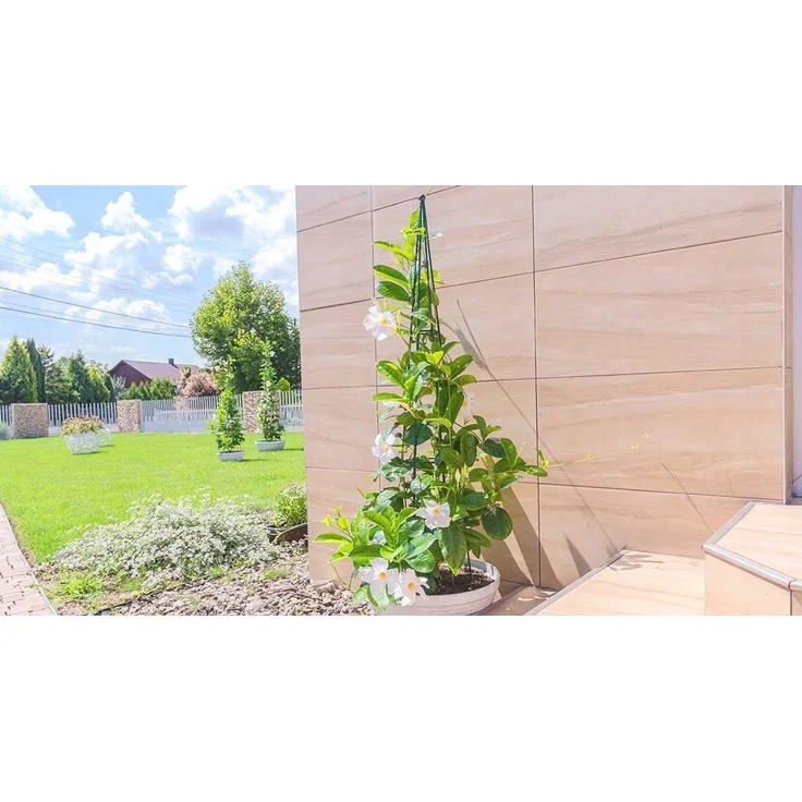 KADAX Gartenkegelstütze für Kletterpflanzen 150 cm – Bild 3