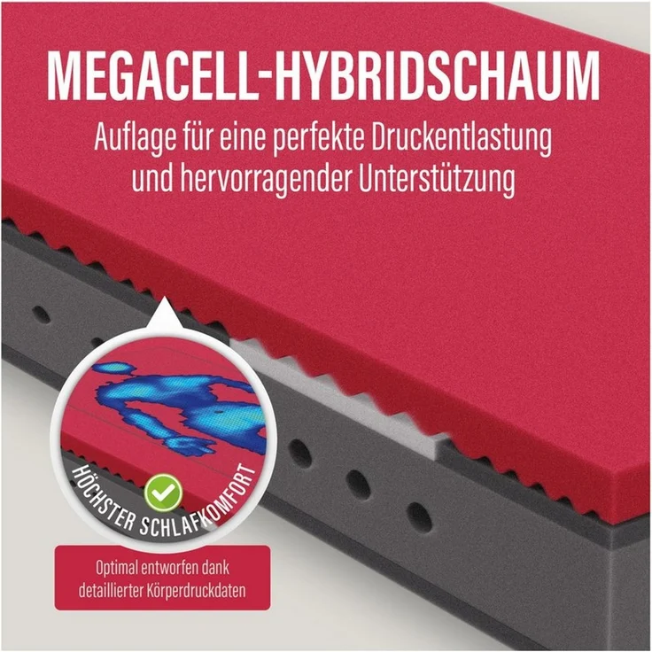 Federkernmatratze Neuheit: Paradies Perfekta TFK, 90x200, 140x200 cm & weitere Größen, Paradies, 22 cm hoch, Matratze mit 1.000 Federn für maximale Punktelastizität und Komfort – Bild 3