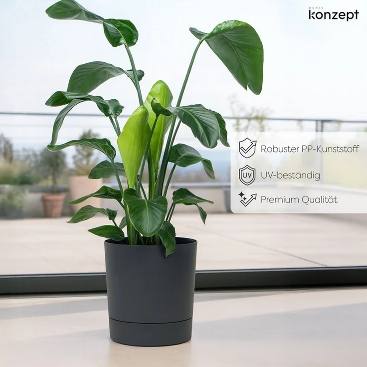 KONZEPT Blumentopf mit Untersetzer, großer Übertopf aus Kunststoff für Zimmerpflanzen (32,5 cm (20 Liter), modern und wetterfest, für Innen und Außen – Bild 3