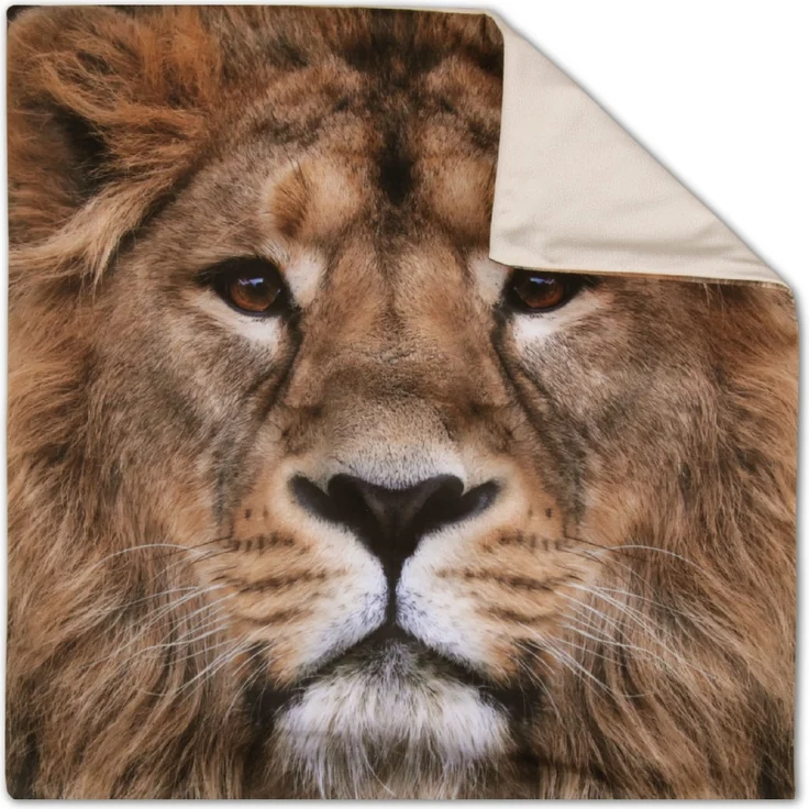 Bestlivings Dekokissen Fotodruck Motiv in 40x40 cm, Flauschig weiches Kissen in vielen Motiven erhältlich ( Design: Löwe ) – Bild 7
