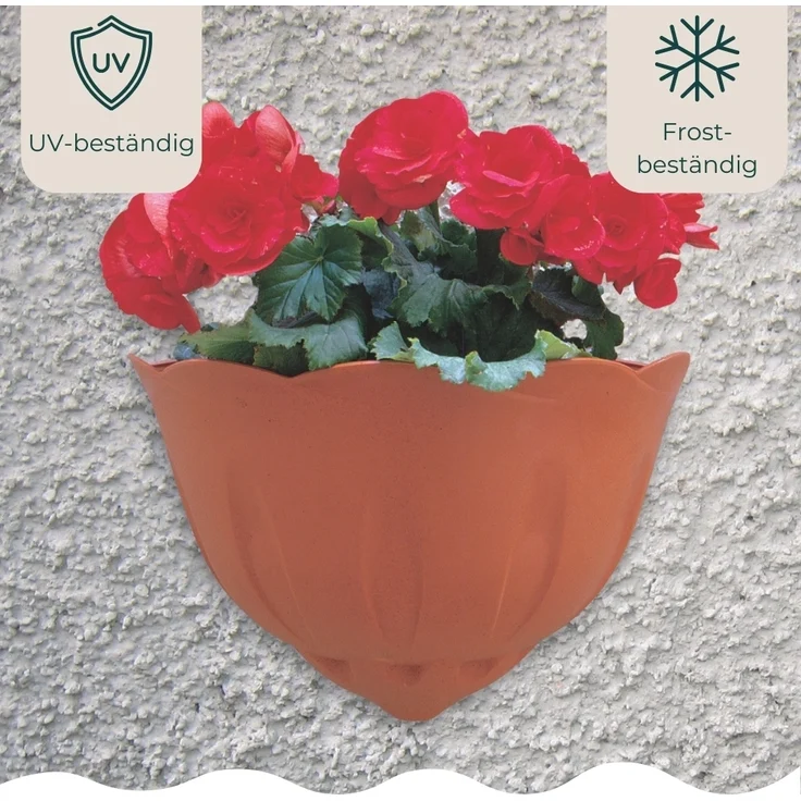 Blumentopf Wand Blumentopf Wandmontage Wandblumentopf Wandvasen für Pflanzen Wandhalterung Wandtopf Wandgefäß – Bild 4