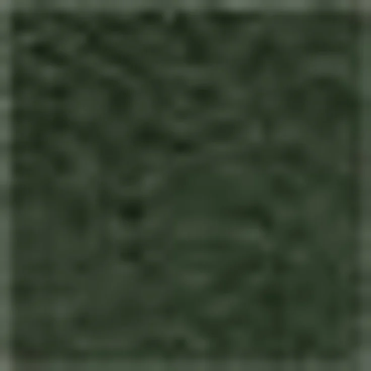 Möve Superwuschel Seiftuch 30x30 cm aus 100% Baumwolle, Cypress 3er Set – Bild 2