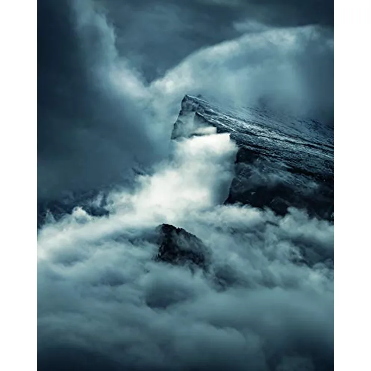 Komar Arrowhead Wandbild, Poster auf Premium-Fotopapier, ohne Rahmen, 40 x 50 cm, made in Germany, fotorealistisch, FSC-zertifiziert