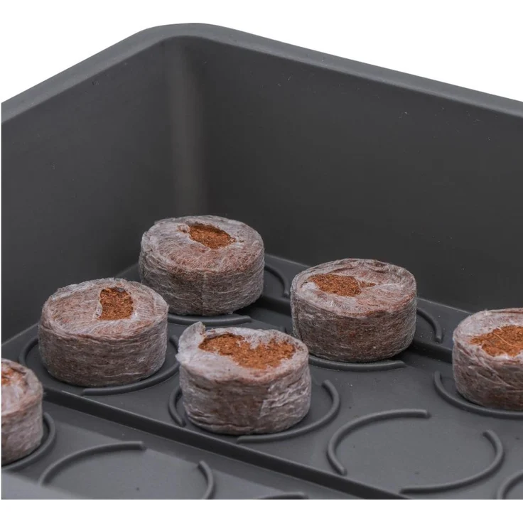 SIENA GARDEN Pikier- und Anzuchtschale 29x19x6 cm PP, anthrazit – Bild 3