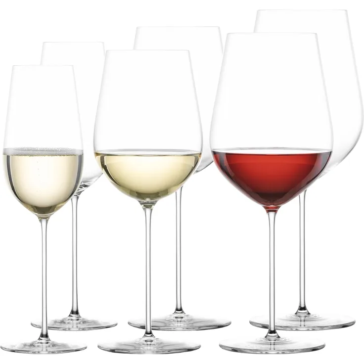 Zwiesel Glas VUELO Wein- und Champagnergläserset 6-teilig