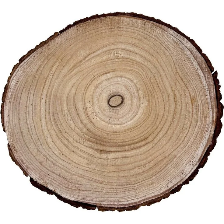 Online-Fuchs Dekotablett - Holzscheibe rund, Baumscheiben Tisch Deko natur - 30 cm Durchmesser (Paulownia Holz, ideal für saisonale Arrangements), natürliche Maserung mit einem rustikalem Rindenrand – Bild 2