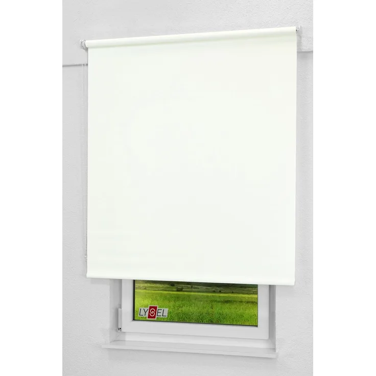 Lysel - Qualitätsrollo Tageslicht weiß, (B x H) 163x275 cm in weiß