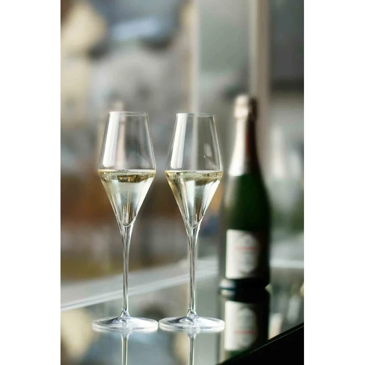 Stölzle Lausitz QUATROPHIL Champagnerglas 290 ml 6er Set – Bild 4