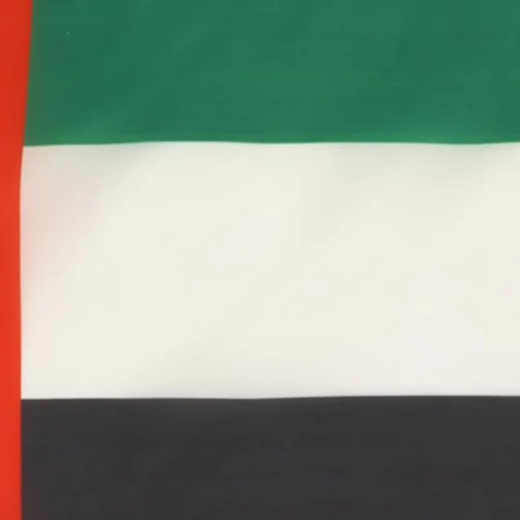 AZ FLAG - Flagge Vereinigte Arabische Emirate - 45x30 cm Mit Kordel - Vereinigte Arabische Emirate Fahne 30 x 45 Cm - Flaggen – Bild 3