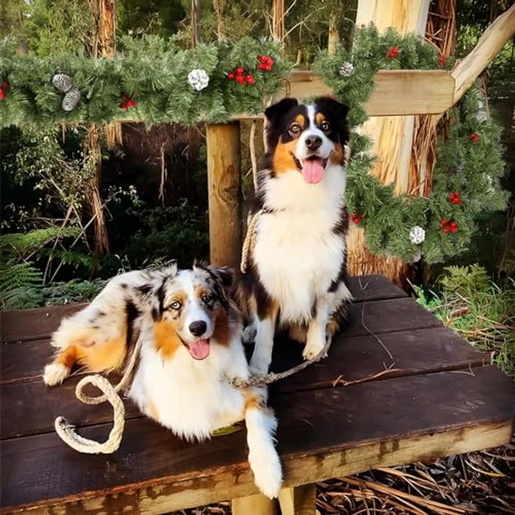 Weihnachtsgirlande 220cm, Uten Tannengirlande mit Tannenzapfen und rote Beeren Weihnachtsdeko für Outdoor, Treppe, Tür, Kamin – Bild 7