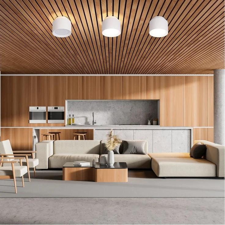 näve LED Deckenleuchte Trimes, Dimmfunktion, Memoryfunktion, Nachtlichtfunktion, LED wechselbar, warmweiß - kaltweiß, rund, dimmbar, CCT per Schiebeschalter, Nachtlicht, Backlight, Memory – Bild 1