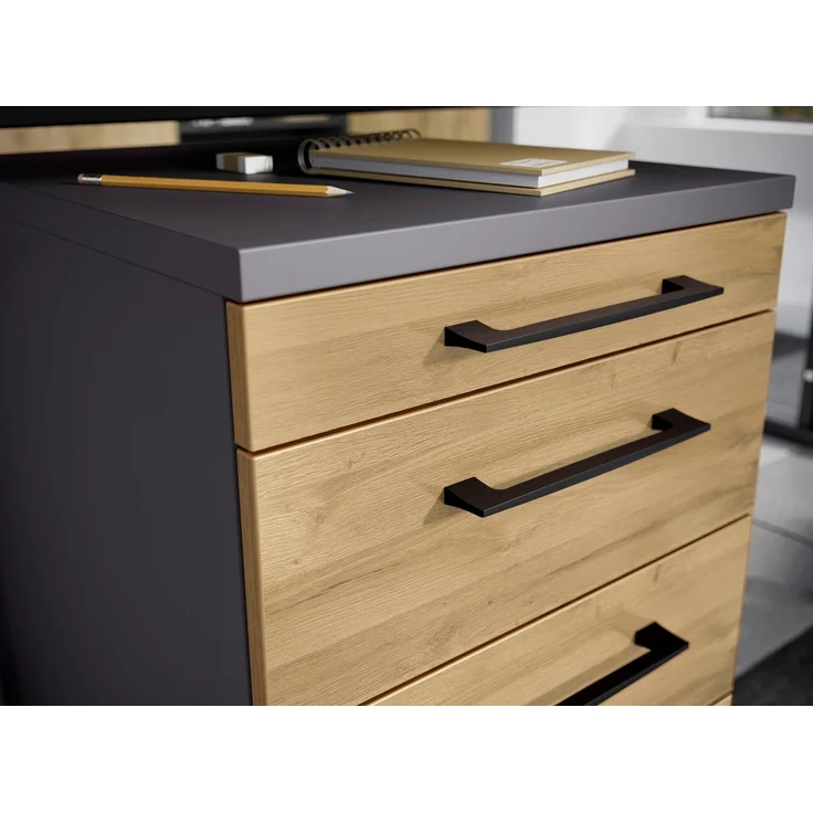 GERMANIA Rollcontainer Profi 3.0 – Bild 3