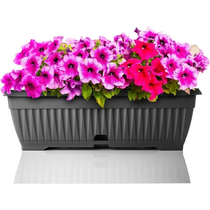 BigDean Blumenkasten mit abnehmbarem Untersetzer - Anthrazit 50 cm lang aus bruchsicherem Kunststoff - Balkonkasten Pflanzkasten mit Wasserspeicher für Innen- & Außenbereich geeignet - Made in Europe