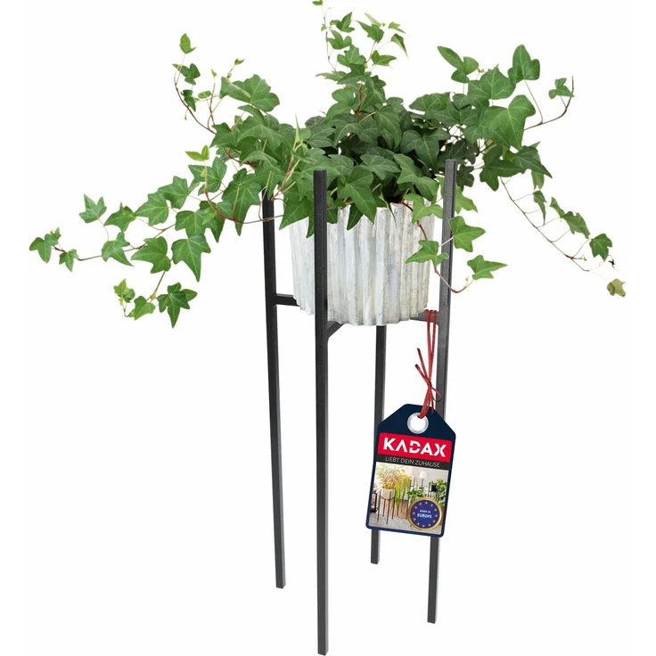 KADAX Blumenständer, Blumenständer aus Metall für das Wohnzimmer, 67 cm – Bild 1