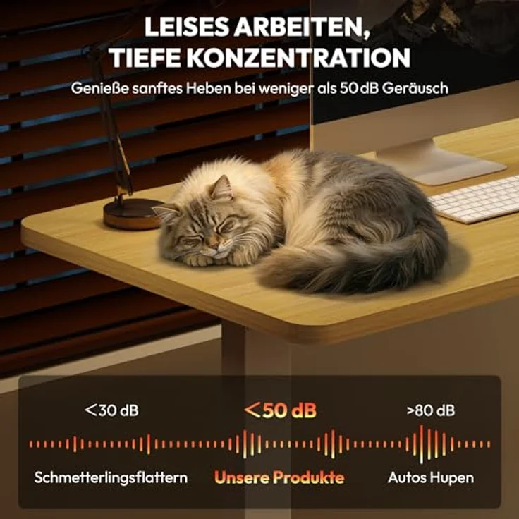 SANODESK Höhenverstellbarer Schreibtisch KOMPLETTE TISCHPLATTE Schreibtisch Höhenverstellbar Elektrisch Ergonomischer Steh-Sitz Tisch Computertisch für Heimbüro Homeoffice 120x60 cm(ahorn) – Bild 8