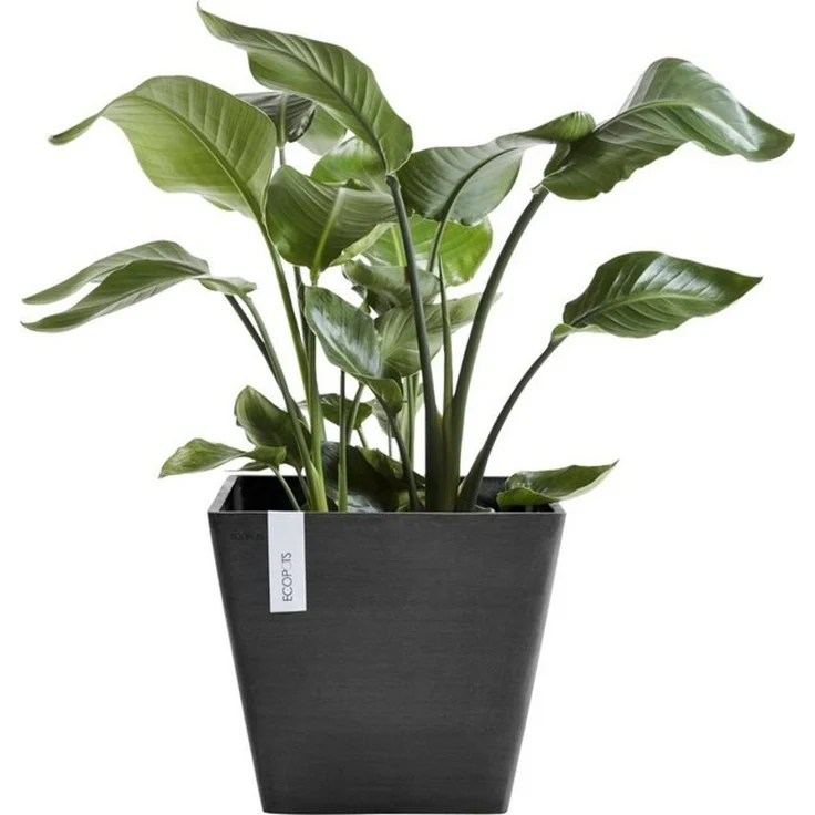 ECOPOTS Blumentopf ROTTERDAM Dark Grey, BxTxH: 50x50x44 cm – Bild 4
