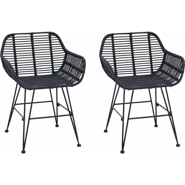 vidaXL Esszimmerstuhl 2 pcs Schwarz 55 x 50 x 74 cm Rattan und Eisen 42011557