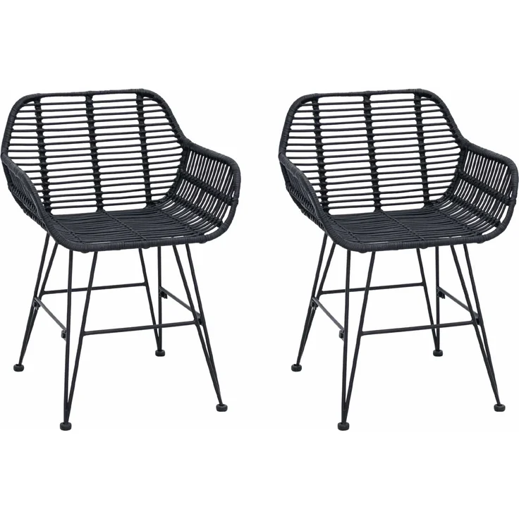 vidaXL Esszimmerstuhl 2 pcs Schwarz 55 x 50 x 74 cm Rattan und Eisen 42011557 – Bild 1