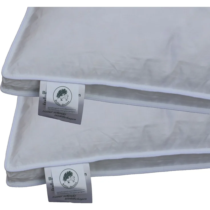 Betten Hofmann Exklusives Daunenkissen Kopfkissen mit Außensteg 80x80 1000g prall 100% Daunen – Bild 3