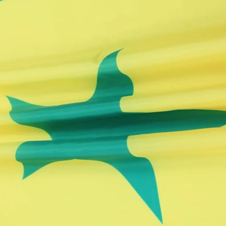 AZ FLAG - Flagge Senegal - 90x60 cm - Senegalesische Fahne 100% Polyester mit Messing-Ösen - 50g – Bild 4