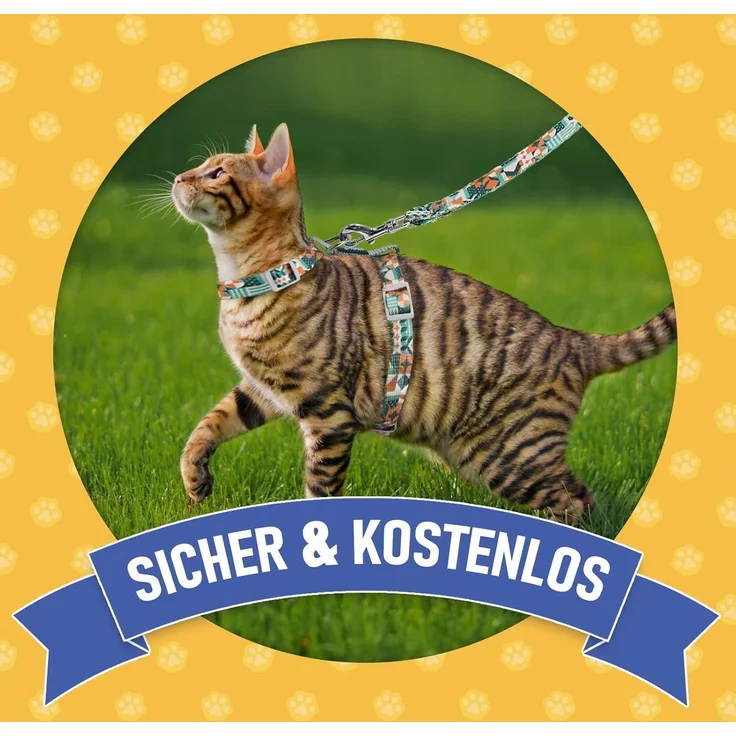 Supet Katzen Geschirr Leine Ausbruchsicher Katzenweste Gehen Kätzchengeschirr M – Bild 7