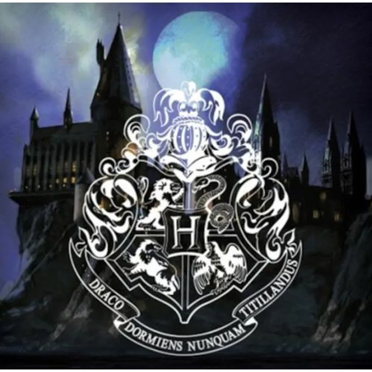 kissen Harry Potter 40x40 cm Polyester blau