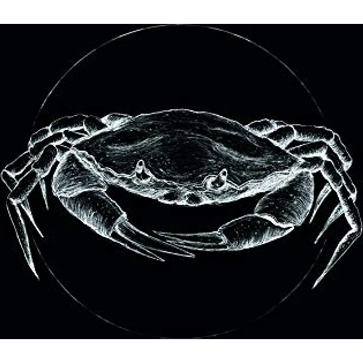 Komar Wandbild Crab Black, Poster 40x50 cm, Premium Fotopapier, seidenmatte Oberfläche, lichtbeständig, ohne Rahmen