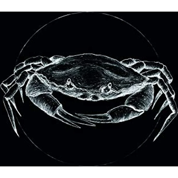Komar Wandbild Crab Black, Poster 40x50 cm, Premium Fotopapier, seidenmatte Oberfläche, lichtbeständig, ohne Rahmen – Bild 1