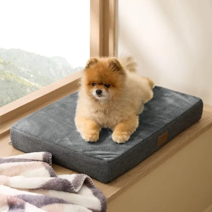 BEDSURE orthopädisches Hundekissen kleine Hunde - 61 x 41 x 8 cm waschbares Hundebett mit 2 in 1 Memoryschaum, kuscheliges Hundematte Hundematratze in größe, dunkelgrau – Bild 9