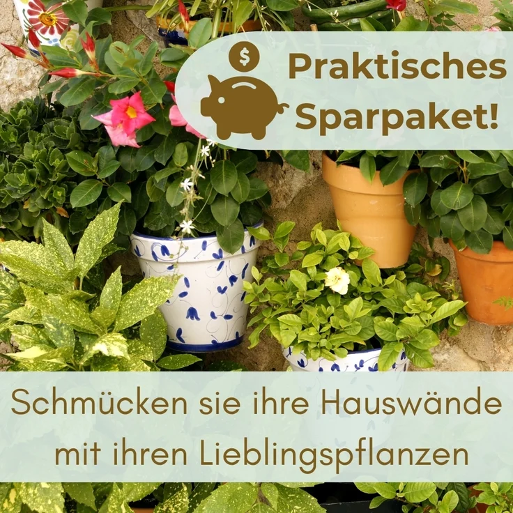 4er Set Blumentopf Wand Blumentopf Wandmontage Wandblumentopf Wandvasen für Pflanzen Pflanzen Wandhalterung Wandtopf Außenbereich 32 cm Weiß Rattan Optik – Bild 6