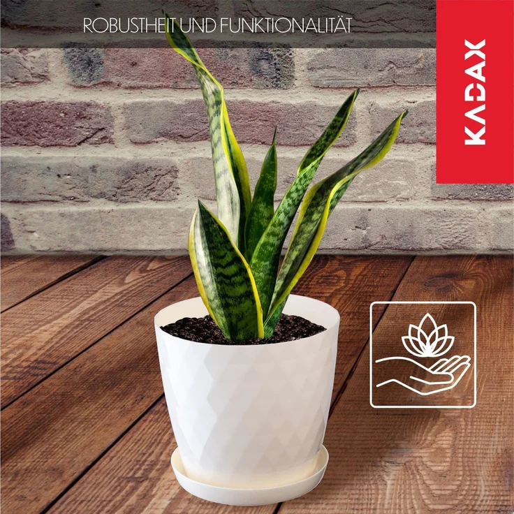 KADAX Blumentopf aus Kunststoff mit Ständer, Blumenabdeckung, 12 cm, Creme – Bild 3