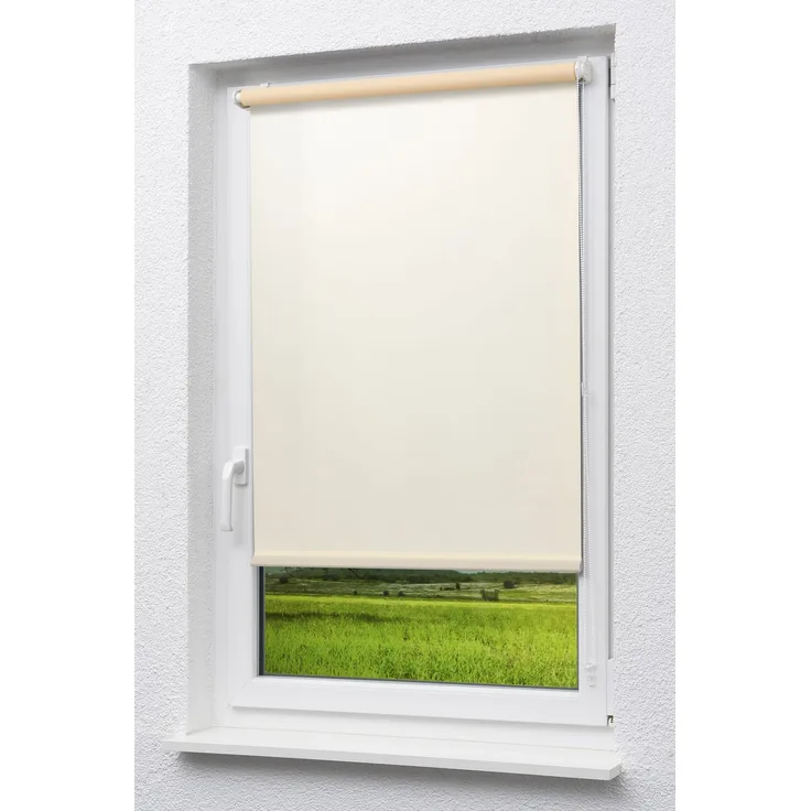 Lysel Outlet - Mini Rollo Tageslicht Vanille (B x H) 103cm x 175cm