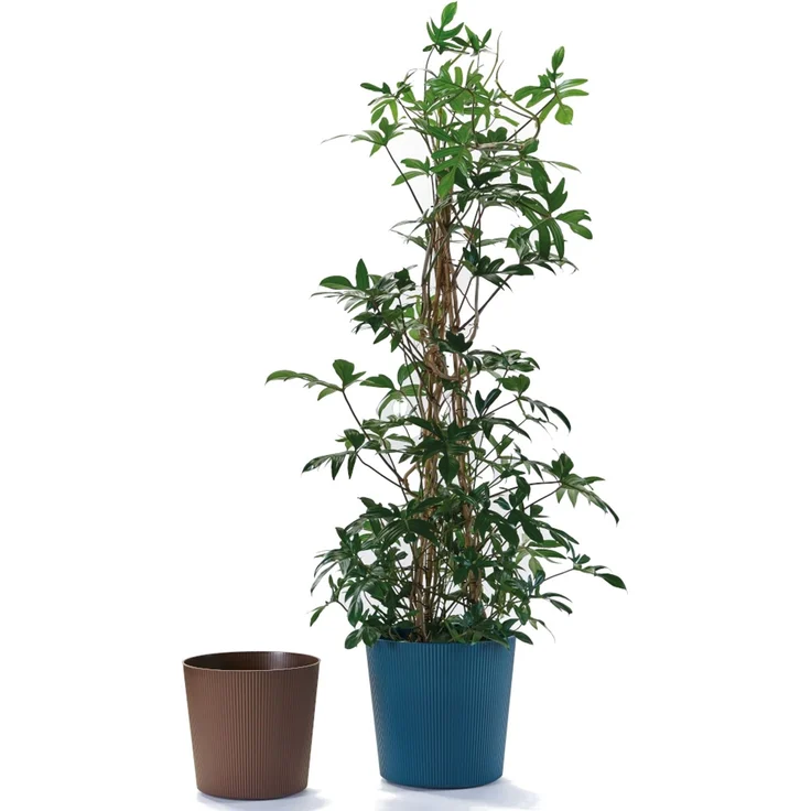 Bl.-Topf FYRE 35cm rost – Bild 2