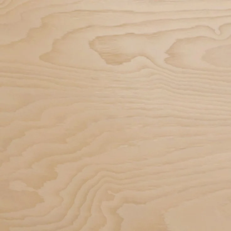 Esszimmerstuhl Taskir C, Stuhl aus Buchenholz für Küche, Restaurant (Buche / Magic Velvet 2250) – Bild 6