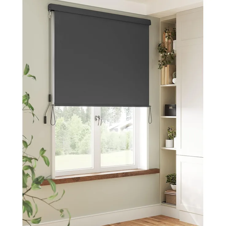 SONGMICS 1.6 x 2.5m Senkrechtmarkise für Balkon, Terrasse, mit Grauer Markisenkassette, Vertikalmarkise für außen, für Windschutz, Sonnenschutz und Sichtschutz, wasserfest, Rauchgrau GSA165GY