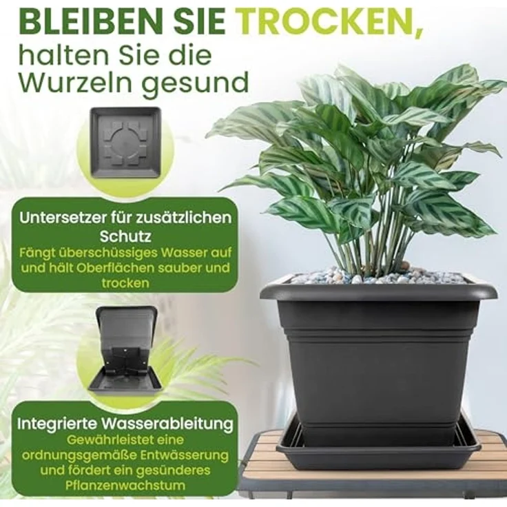 Centi Pflanzkübel Tomatentopf mit Untersetzer eckig anthrazit (6er-Set, 6 St, 6er Set), für Tomaten und Blumen – Bild 5