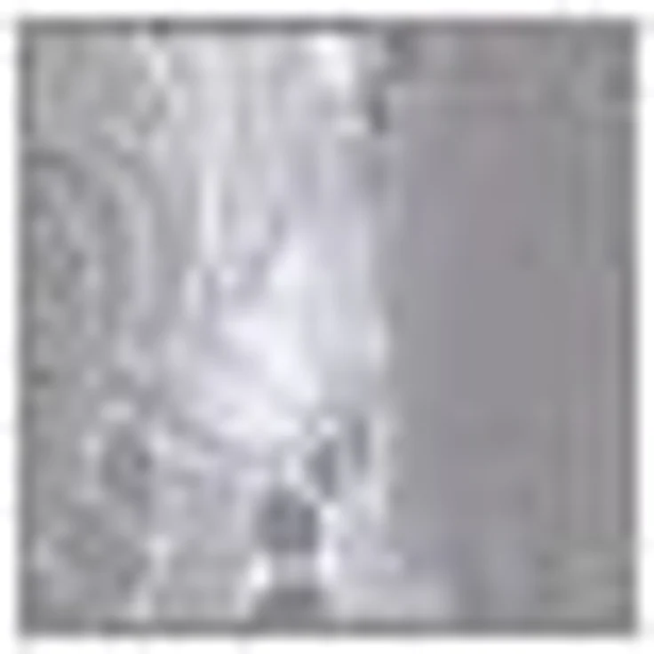 Stickereien Plauen Scheibengardine Anika, Durchzuglöcher (1 St), transparent, Voile, veredelt mit echter Plauener Spitze Stickerei – Bild 3