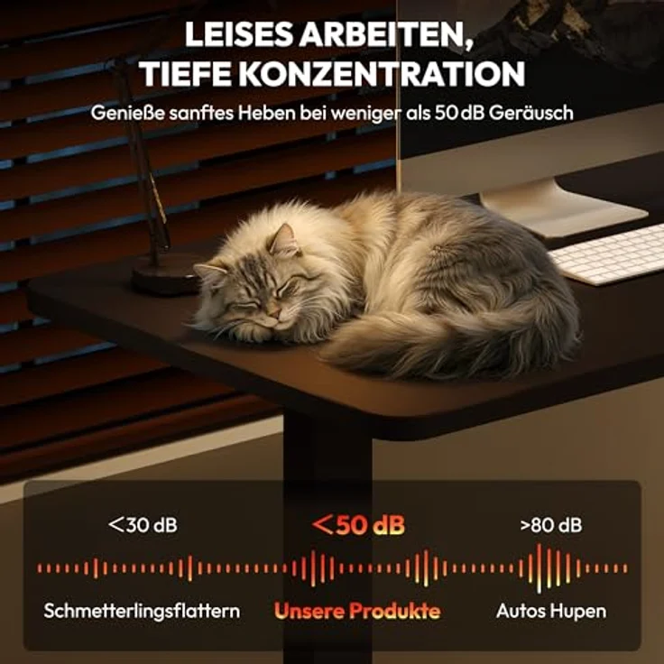 SANODESK Höhenverstellbarer Schreibtisch KOMPLETTE TISCHPLATTE Schreibtisch Höhenverstellbar Elektrisch Ergonomischer Steh-Sitz Tisch Computertisch für Heimbüro Homeoffice 120x60 cm(schwarz) – Bild 8