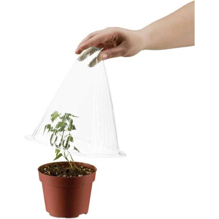Transparenter Pflanzenhut im 80er Set 10047867 – Bild 6