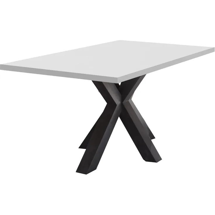 Esszimmertisch Elda 2 200 x 100 x 75 Esstisch Schwarzstahl/Weiß Matt Lack 13955-200