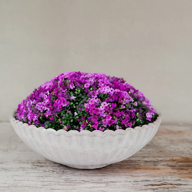 matches21 HOME & HOBBY Blumentopf Dekoschale runde Pflanzschale für draussen grau marmoriert 22 cm (1 St), Blumen-Schale als wetterfeste Friedhof-Schale Grab-Schmuck Grabschale – Bild 2