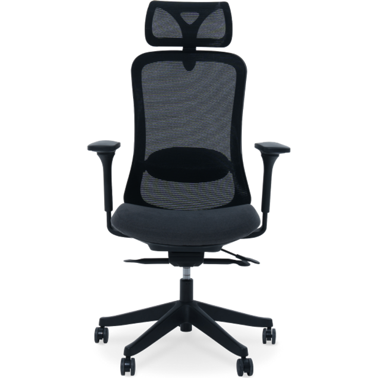 FlexiSpot Bendex Ergonomischer Stuhl mit abnehmbarer, verstellbarer Kopfstütze – flexibel, komfortabel & individuell anpassbar, schwarz